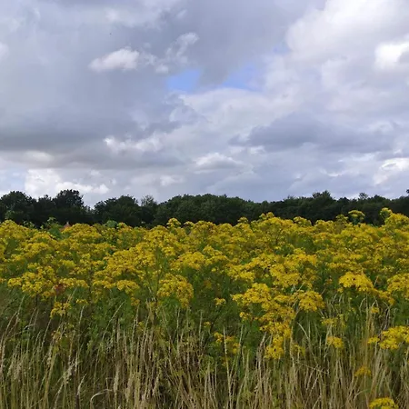 Panoramic Retreat-by Traum *