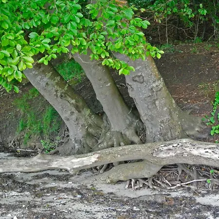 Hébergement de vacances Panoramic Retreat-by Traum *